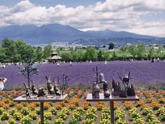 -富田农场