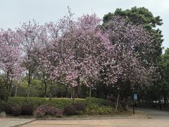 -雀儿山公园