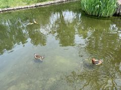 -春风习习