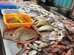 -霞海鸭仔饭店(海滨大道北店)