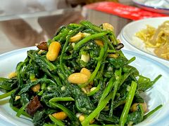 -8号蒸饺精品炖鸽子(康特商街店)