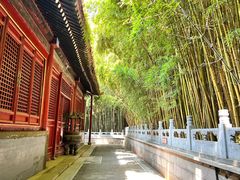 -潭柘寺景区