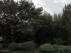 -大渡口区义渡公园