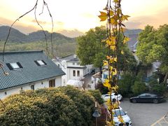 -马灯部落·西湖边的创意山景餐厅(虎跑动物园店)