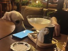 -咖法森林·咖啡  酒吧(天河店)