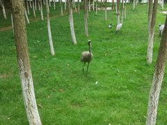 -艾溪湖湿地公园