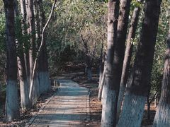 -大蜀山国家森林公园