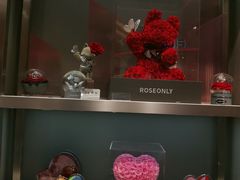 -ROSEONLY诺誓(广州K11店)