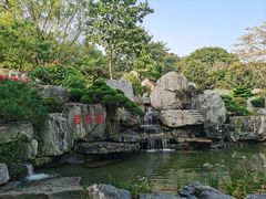 -东莞植物园