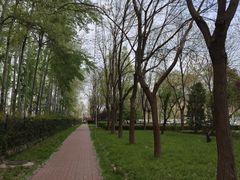 -仁和公园(顺义区)