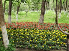 -长白岛森林公园