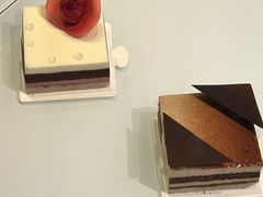 -BLACKSWAN黑天鹅(环球店)