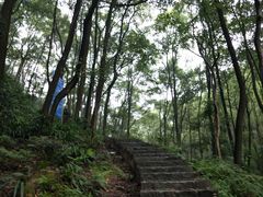 -南山植物园