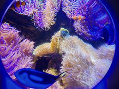 -太平洋海底世界