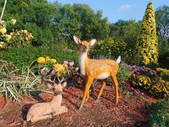 -上海共青森林公园