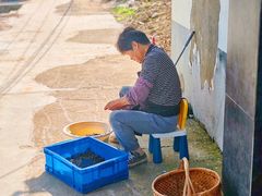 -乡乐园蟹庄·阳澄湖农家乐