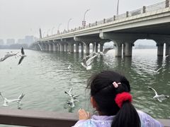 -蠡湖大桥公园