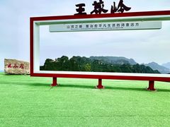 -王莽岭风景区