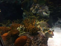 -上海海洋水族馆