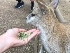 -费瑟代尔野生动物园