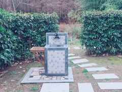 -崇明东平国家森林公园烧烤房车露营地