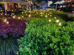 -证大大拇指广场(芳甸路店)