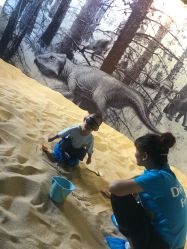 -恐龙探索乐园(磁器口店)