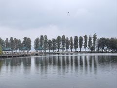 -东湖落雁景区