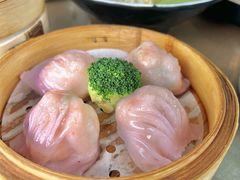 -珍之宝御品·寻味顺德(容桂渔人码头店)