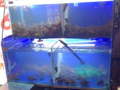 -羊家胡同·龙虾烧烤火锅(龙汇路店)