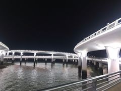 -演武大桥观景平台