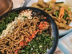 -一口猪海鲜浑锅·东北家常菜