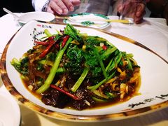 -永安之星休闲美食广场