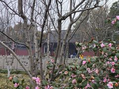 -杭州西湖风景名胜区-钱祠表忠