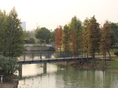 -尚贤河湿地