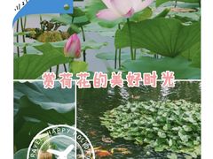 -长春市南湖公园