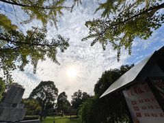 -徐州龟山景区
