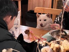 -柴の食堂·日式家庭料理·熊之肆(大学路店)