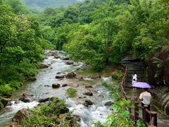 -广州白江湖森林公园