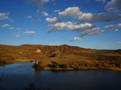 -乌兰布统景区-白桦林