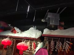 -泉州海丝野生动物世界