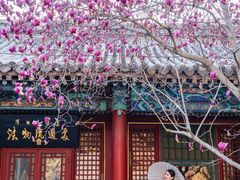 -潭柘寺景区