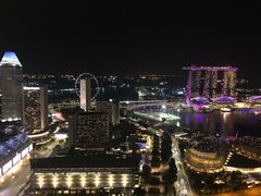 -新加坡瑞士史丹福酒店