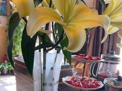 -莱仪堂艾灸经络养生馆(九亭一店)