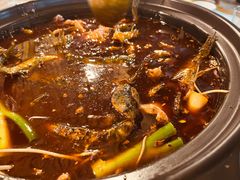 -金海椒罐罐鲢鱼(东方桂苑店)