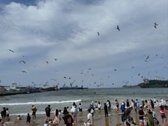 -海驴岛(荣成市)