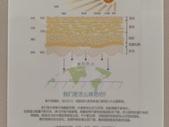 -证大大拇指广场(芳甸路店)