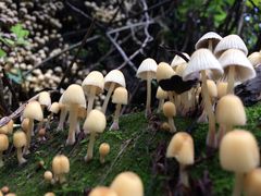 -梦幻奥陶纪景区