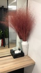 点击看大图 -Garden花園造型