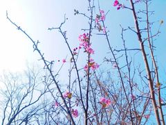 -白鹭湾湿地公园